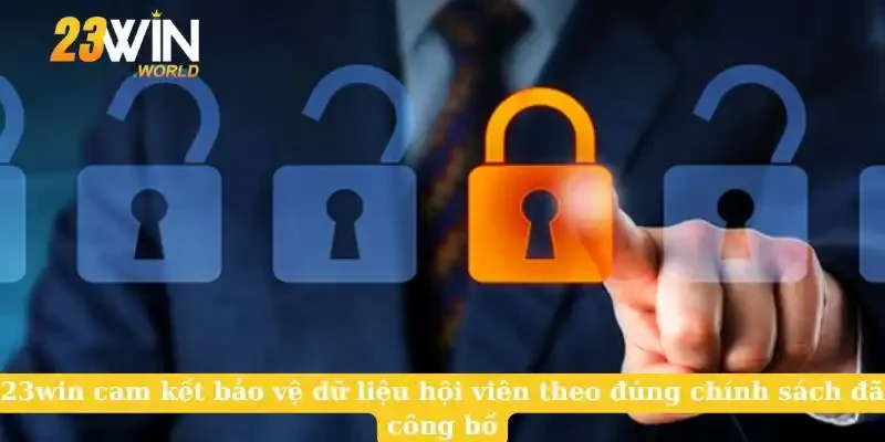23win cam kết bảo vệ dữ liệu hội viên theo đúng chính sách đã công bố