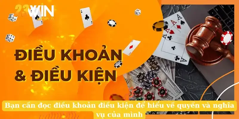 Bạn cần đọc điều khoản điều kiện để hiểu về quyền và nghĩa vụ của mình