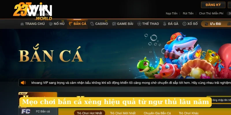 Mẹo chơi bắn cá xèng hiệu quả từ ngư thủ lâu năm