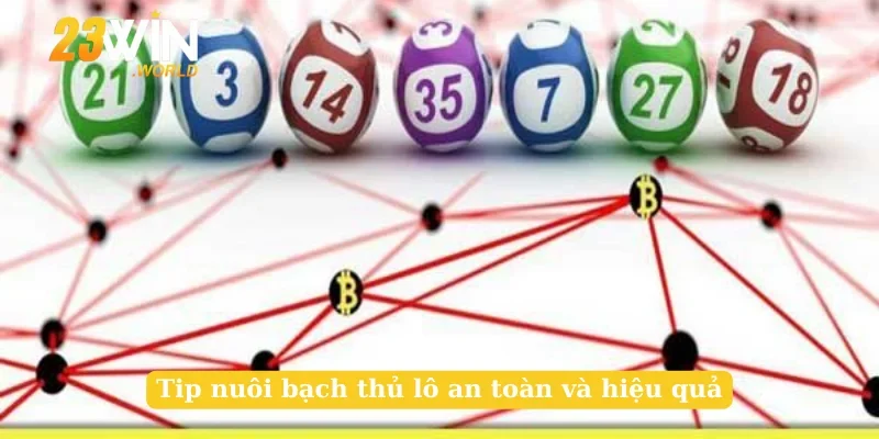 Tip nuôi bạch thủ lô an toàn và hiệu quả